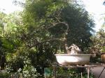 Parque ecológico Yvaga Guazú